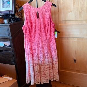 Danny & Nicole Pink and White Lace Midi Dress